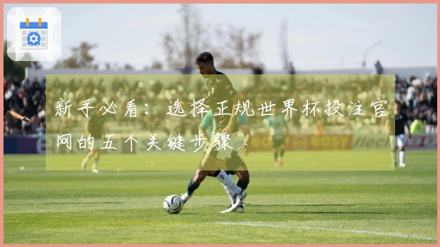 新手必看：选择正规世界杯投注官网的五个关键步骤