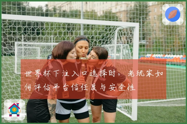 世界杯下注入口选择时，老玩家如何评估平台信任度与安全性